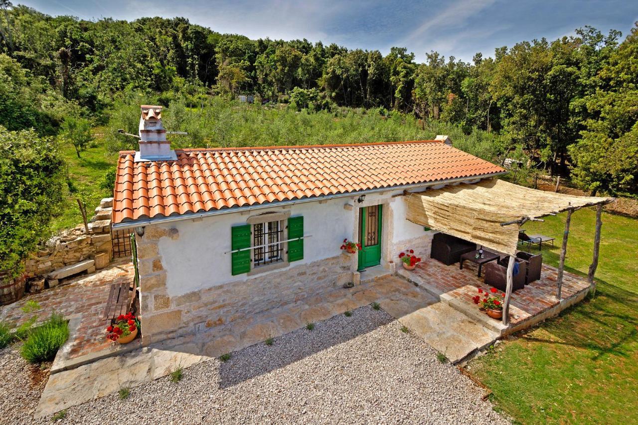 Villa Roinizza in Prtlog  Labin  Exterior foto